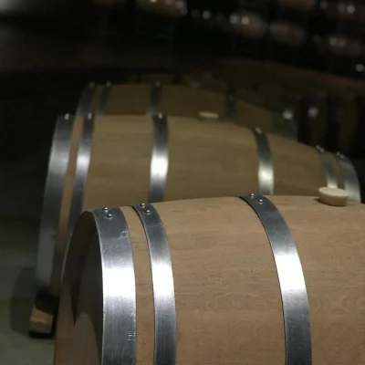 WhatsApp Image 2026-02-05 at 21.32.11 (1)